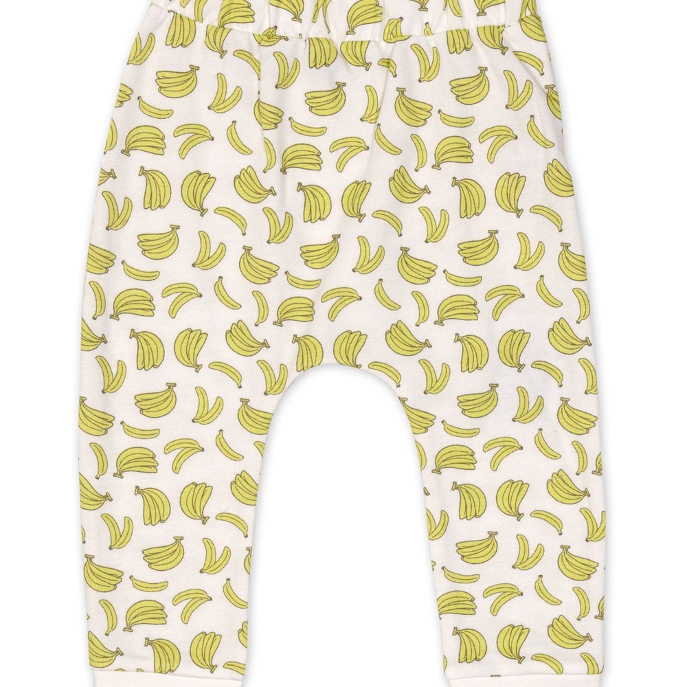 

Boys Jogger- Multicolored