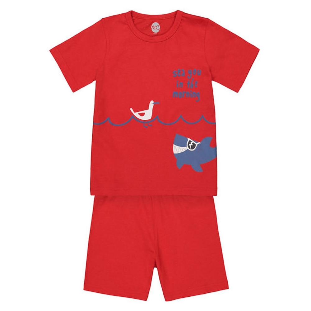 

Boys Shortie set- Multicolored
