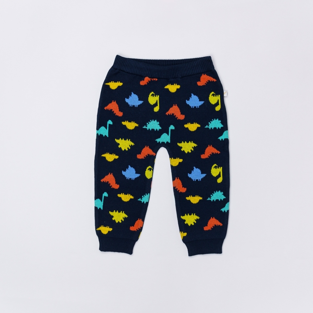 

H by Hamleys Boys Joggers Dino Print-Multicolor