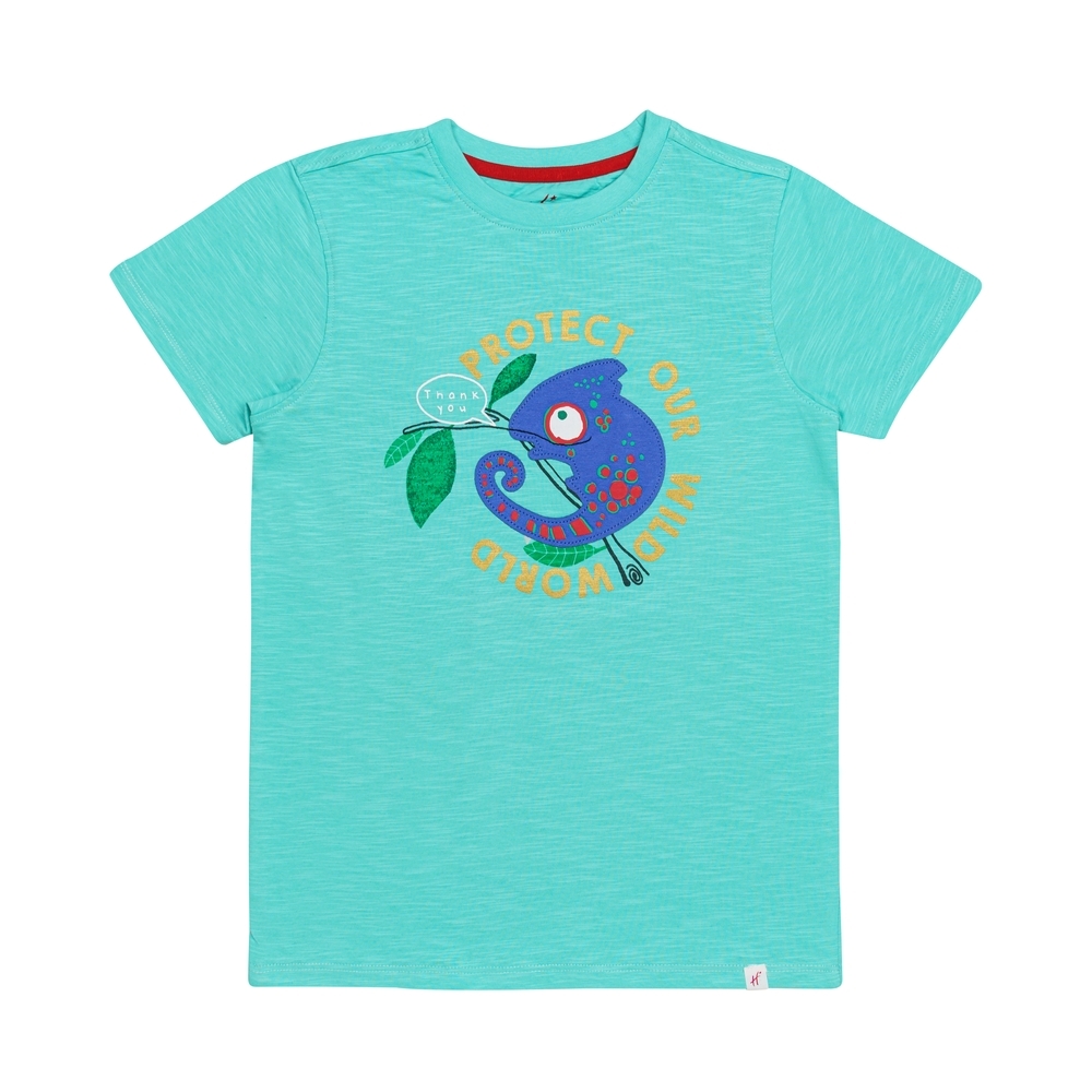 

H by Hamleys Boys Short Sleeves T-Shirt -Green