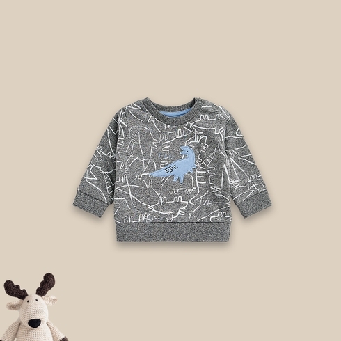 Boys Full Sleeves Sweaters -Pack of 1-Grey