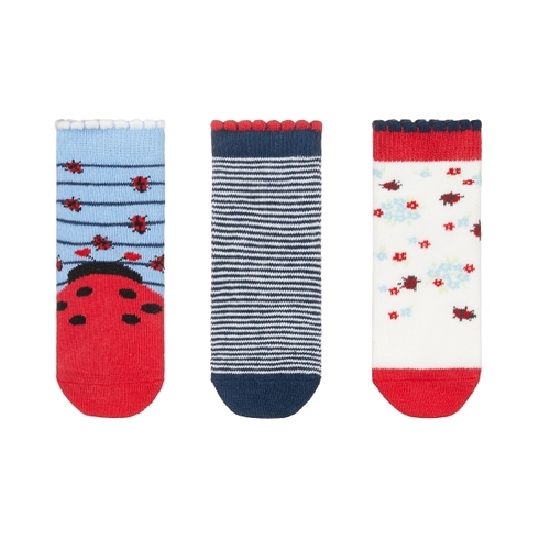 Girls Ladybird Novelty Socks - 3 Pack - Multicolor