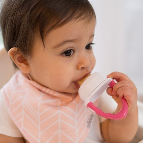 Dr. Brown's Silicone Feeder Pink