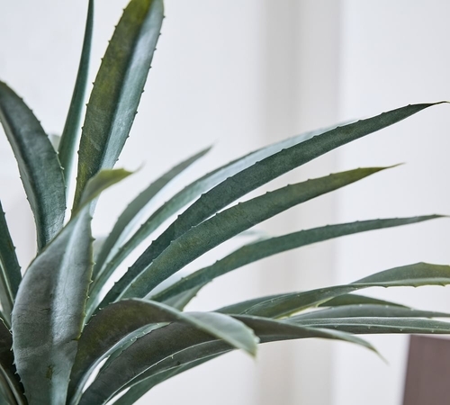 Faux Potted Faded Striped Agave Plant