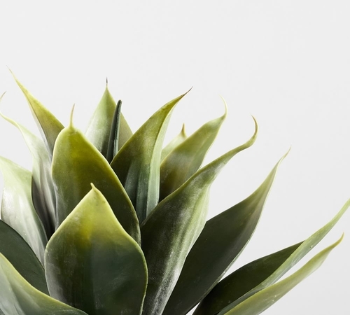 Faux Potted Aloe Vera Plant, 14InchesH