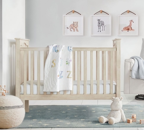 Lion Nursery Animal Art Frame