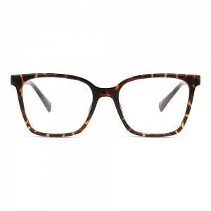Full Rim TR90 Square Brown Medium Unofficial UNOF0340 Sunglasses