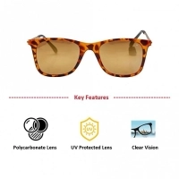 Wayfarer Brown Polycarbonate Full Rim Medium Vision Express 72022 Sunglasses