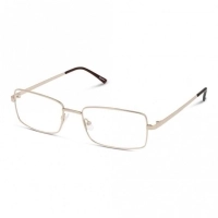 Full Rim Monel Rectangle Gold Large Seen SNDM01 Eyeglasses