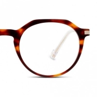Full Rim Acetate Round Havana Medium In Style ISHF04 Eyeglasses