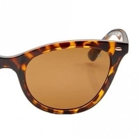 Cat eye Brown Polycarbonate Full Rim Medium Vision Express 41328 Sunglasses