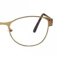 Blue Shield (Zero Power) Computer Glasses : Full Rim Rectangle Gold Polycarbonate Medium 49092B