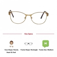 Blue Shield (Zero Power) Computer Glasses : Full Rim Rectangle Gold Polycarbonate Medium 49092B