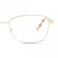Full Rim Stainless steel Cat Eye Gold Medium Heritage HEJF42 Eyeglasses