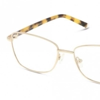 Full Rim Stainless steel Cat Eye Gold Medium Heritage HEJF42 Eyeglasses