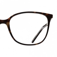 Full Rim Acetate Almond Brown Medium DbyD DBOF5034 Eyeglasses