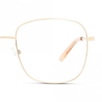 Full Rim Stainless steel Square Gold Large Unofficial UNOF0305 Eyeglasses