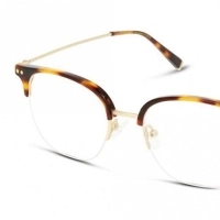 Half Rim Acetate Square Gold Male Medium Heritage HEOM0050 Eyeglasses