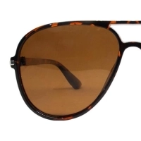 Brown Aviator Sunglasses 12091P