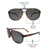 Grey Brown Aviator Sunglasses 12095P