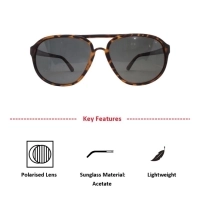 Grey Brown Aviator Sunglasses 12095P