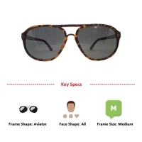 Grey Brown Aviator Sunglasses 12095P