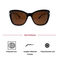 Brown Red Cat Eye Sunglasses 41446P