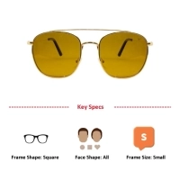 Brown Gold Square Sunglasses 21845P