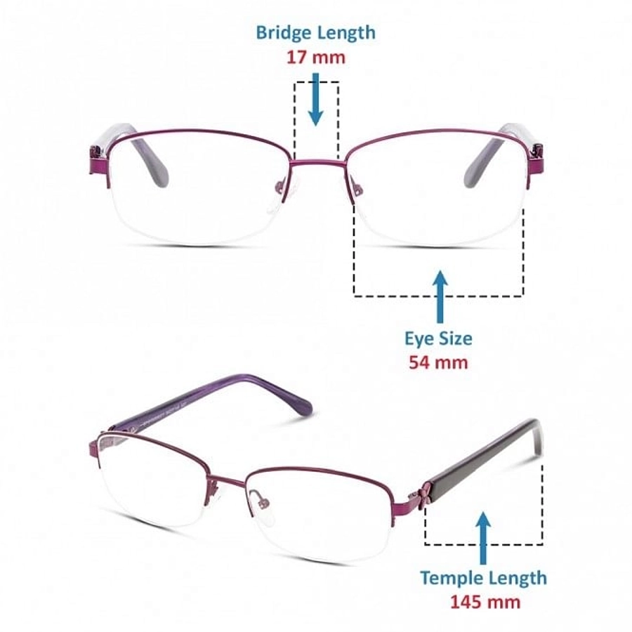 Half Rim Monel Almond Violet Medium DbyD DBCF07 Eyeglasses