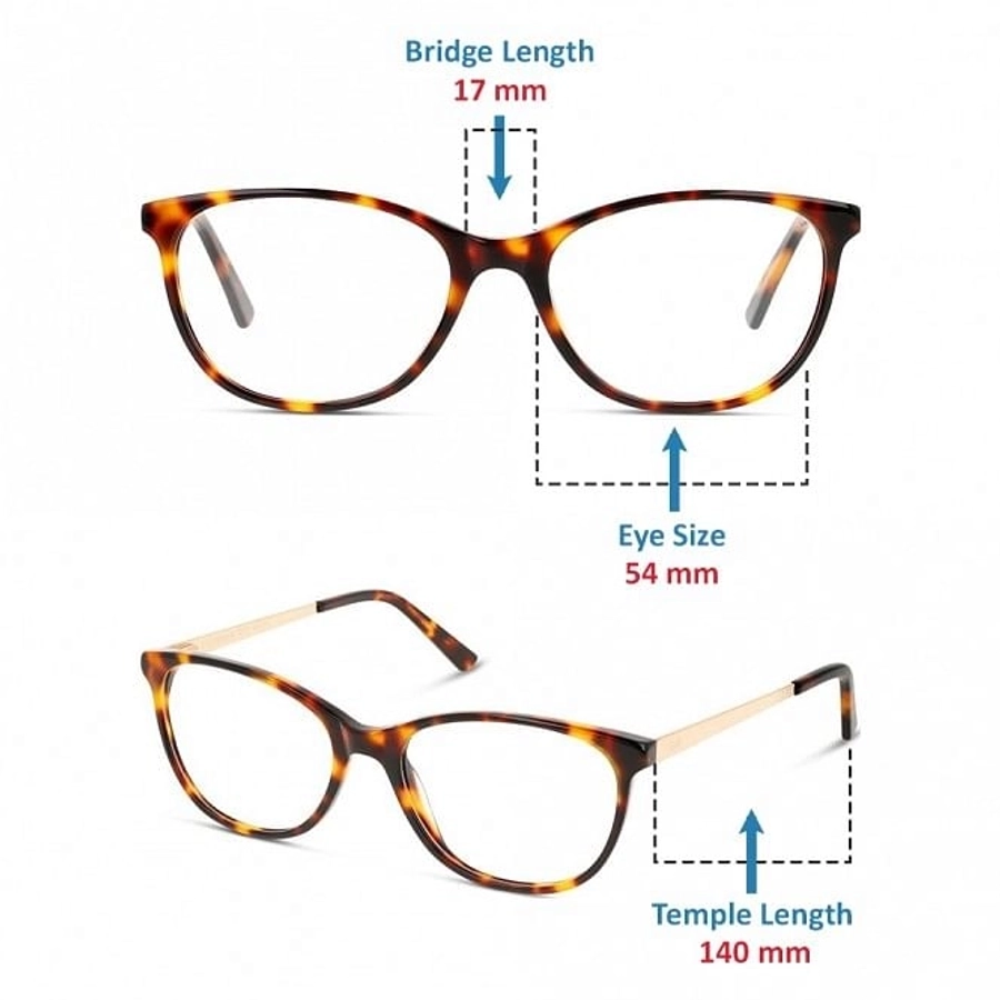 Full Rim Acetate Almond Havana Medium DbyD DBHF05 Eyeglasses