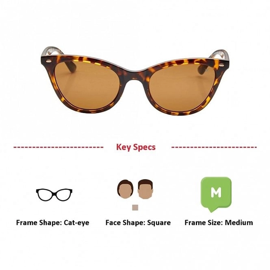 Cat eye Brown Polycarbonate Full Rim Medium Vision Express 41328 Sunglasses