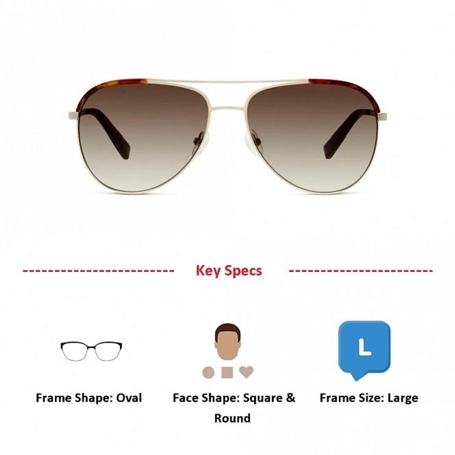 Oval UV Protected Lens Green Brown Metal Full Rim  Large C-line CNGM05 Sunglasses