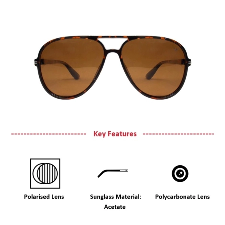 Brown Aviator Sunglasses 12091P