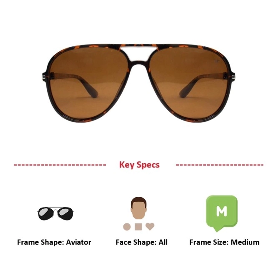 Brown Aviator Sunglasses 12091P