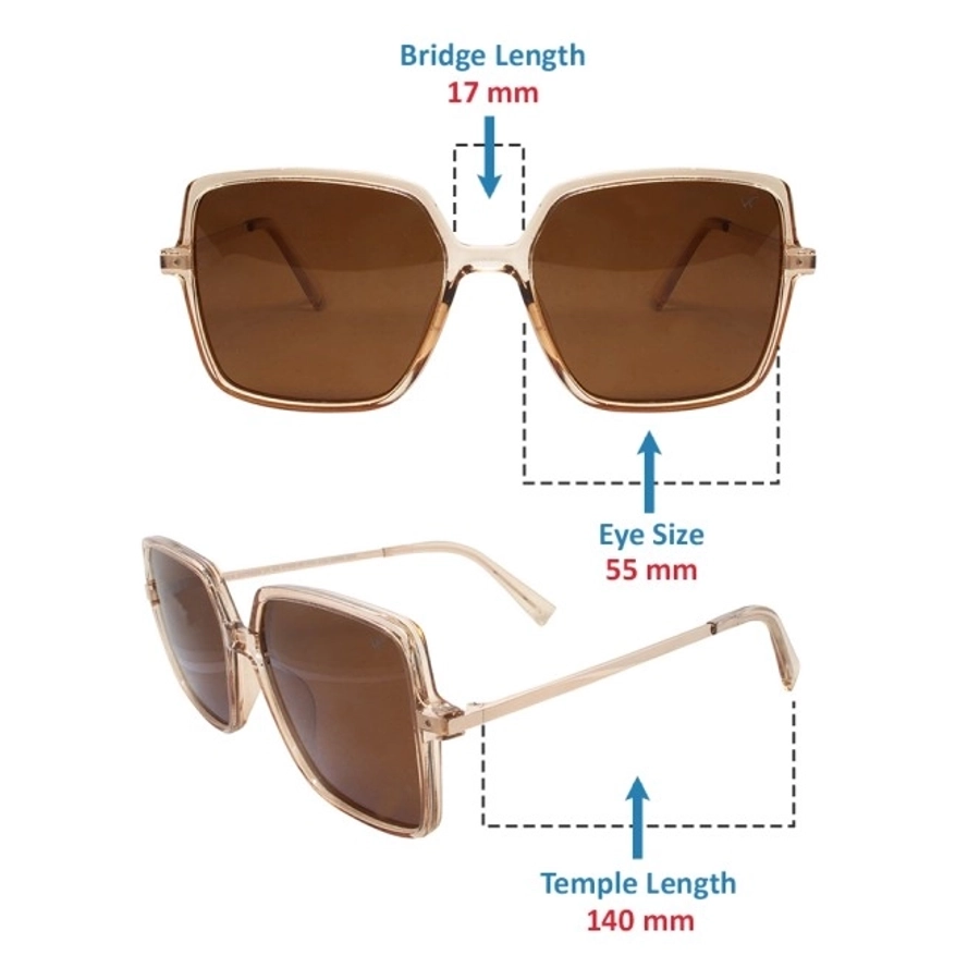 Brown Square Sunglasses 41430P