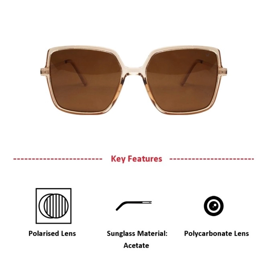 Brown Square Sunglasses 41430P