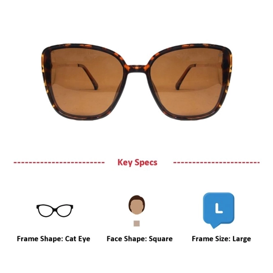 Brown Cat Eye Sunglasses 41435P