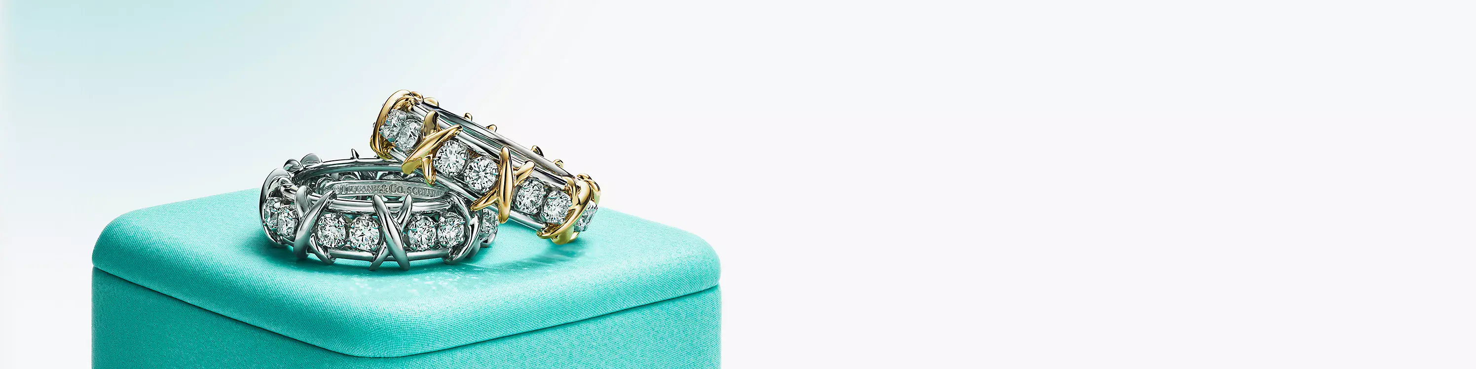 Tiffany & Co. debuts its latest Tiffany HardWear Campaign Featuring ROSÉ –  Harbour City