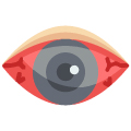 moxzap eye drops 5ml