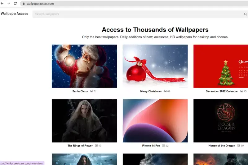 Homepage von Wallaper Access