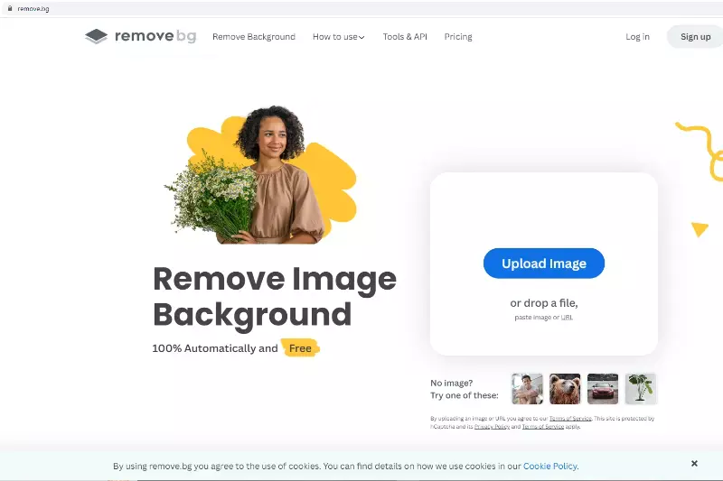 Home Page of Remove BG