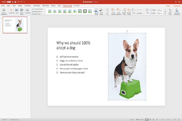dog in ppt