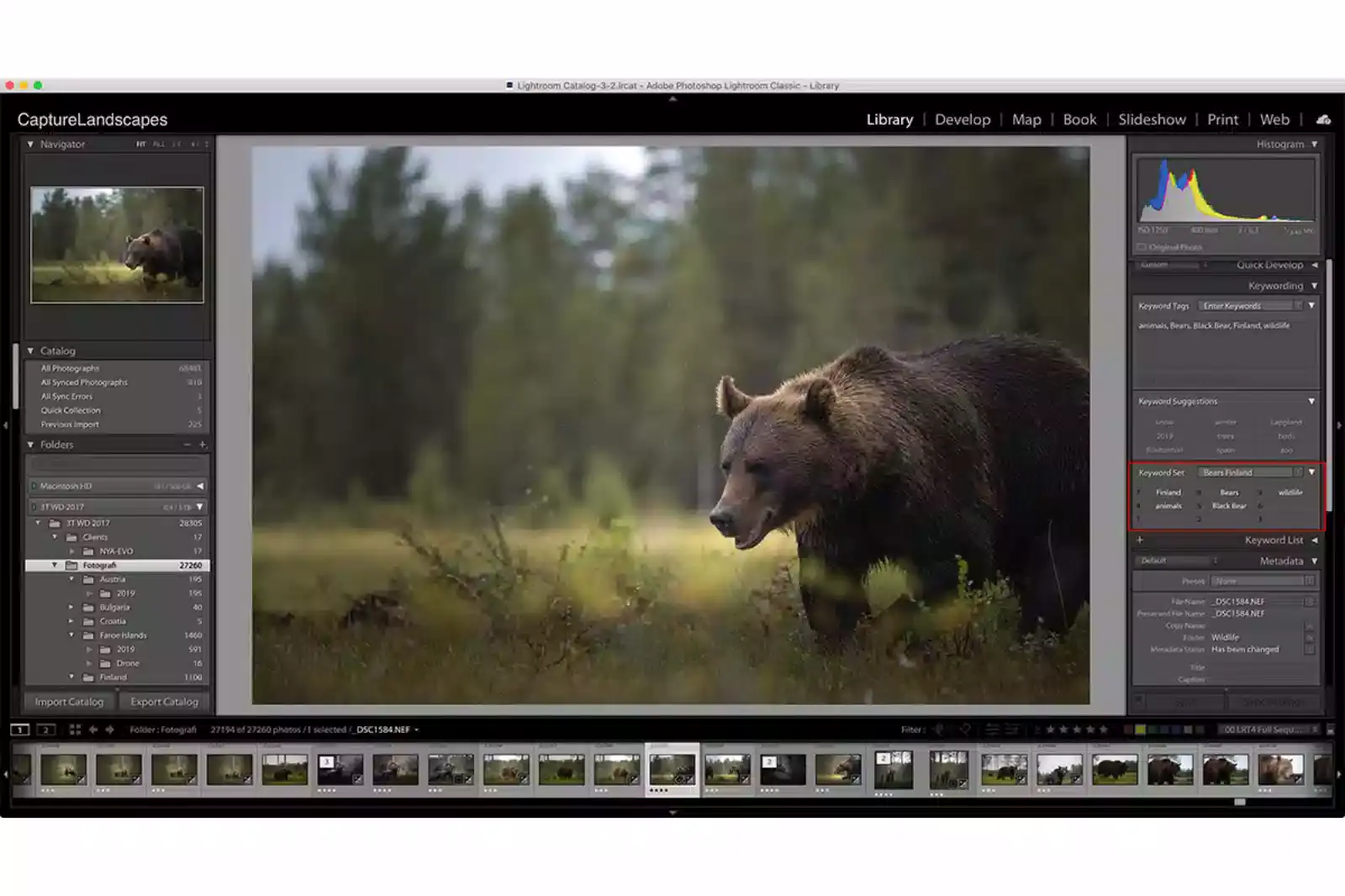 Lightroom Image Editing Features