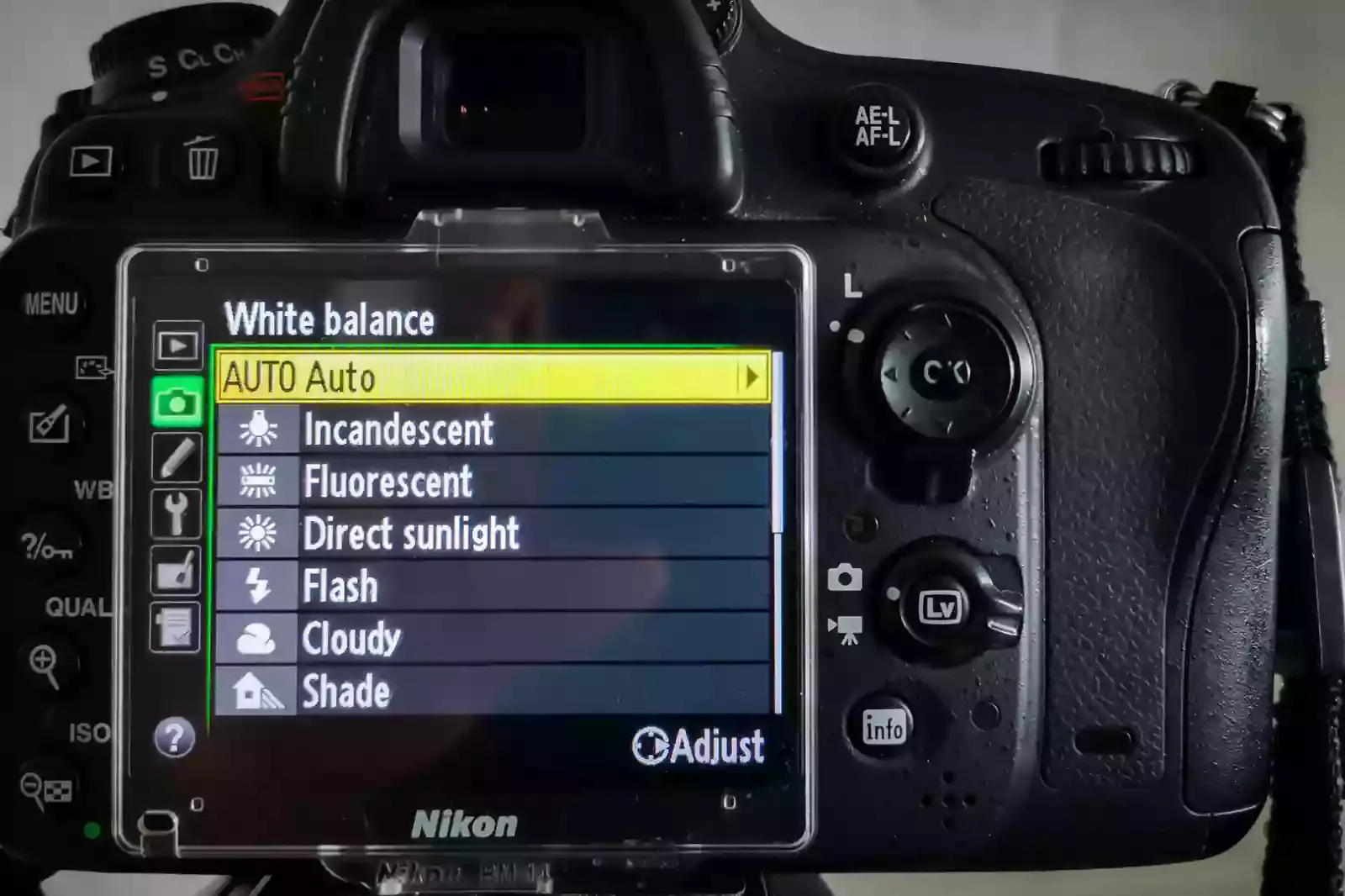What is In-camera White Balancing
