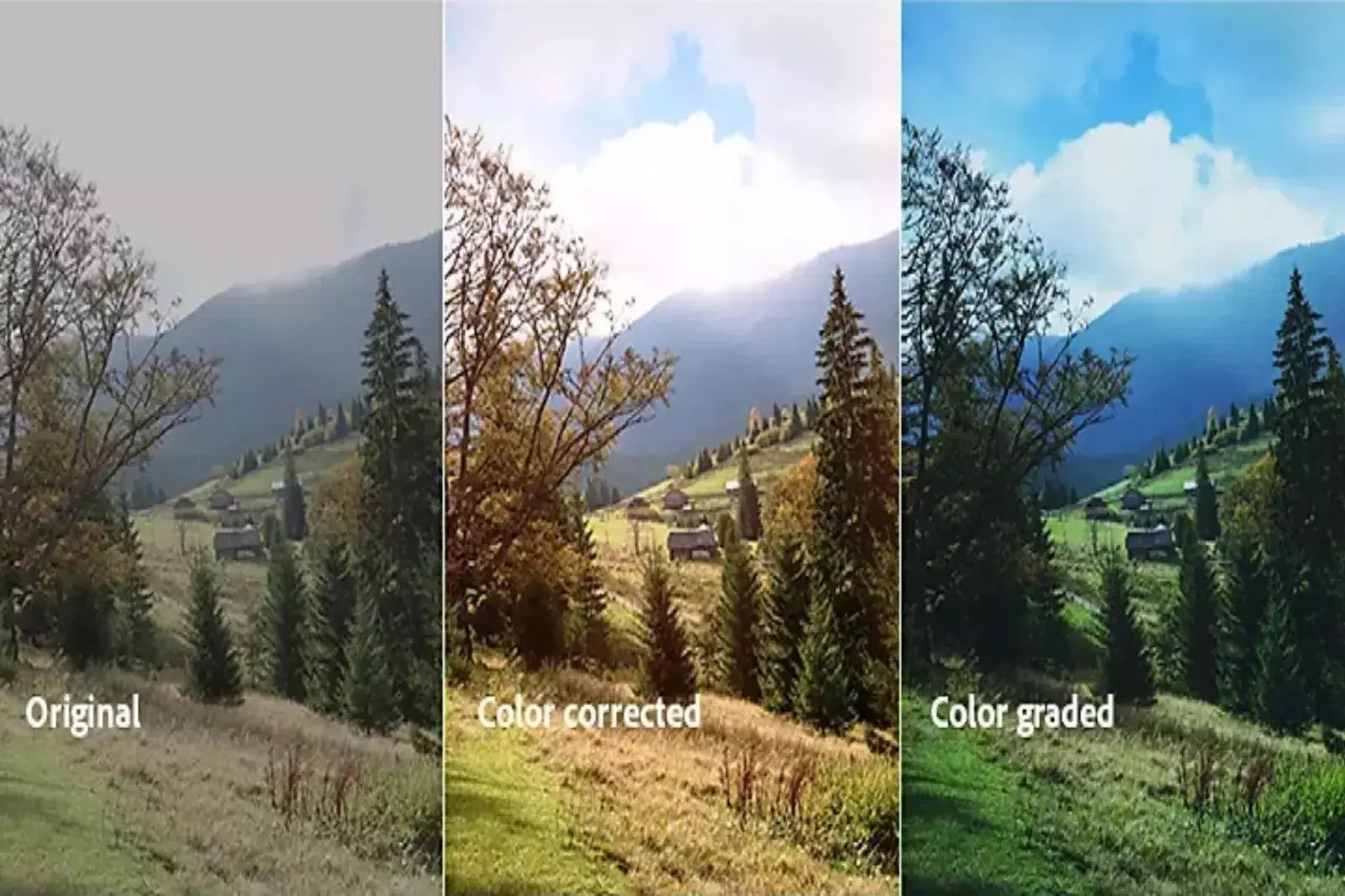 How do Color Grading and Correction Work Together?