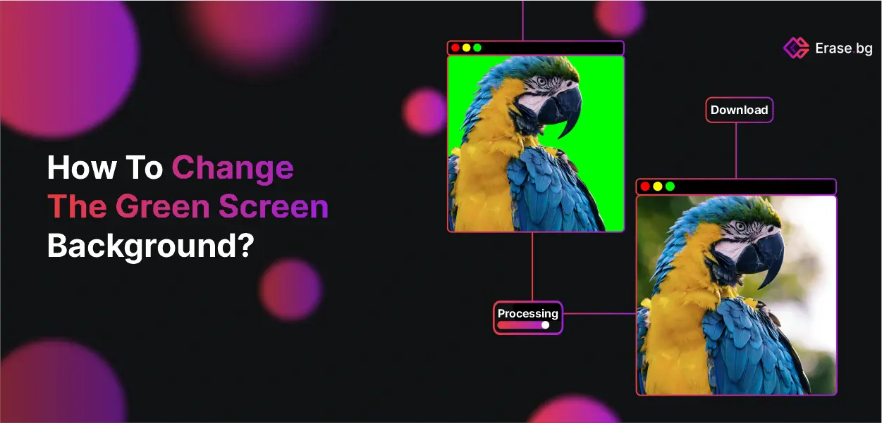 How to Change the Green Screen Background?