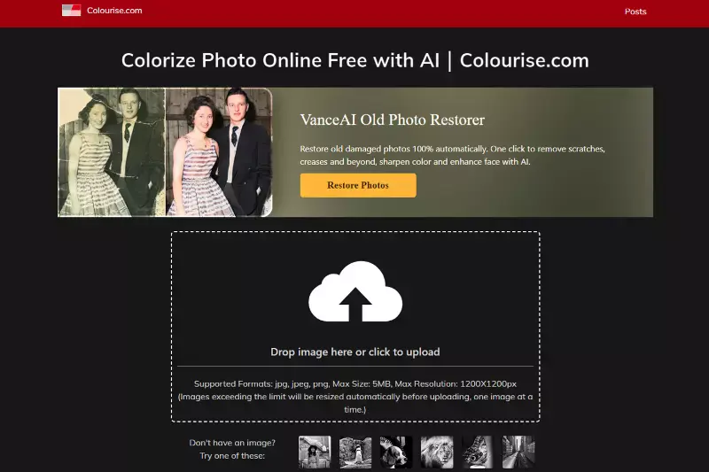 Home Page of Colorize It