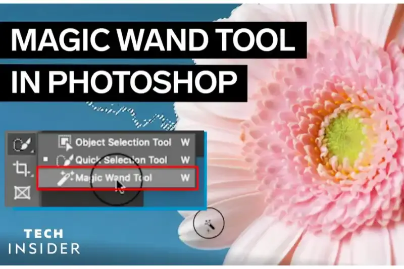 home page of magic wand tool
