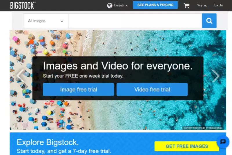 Home Page of Bigstock