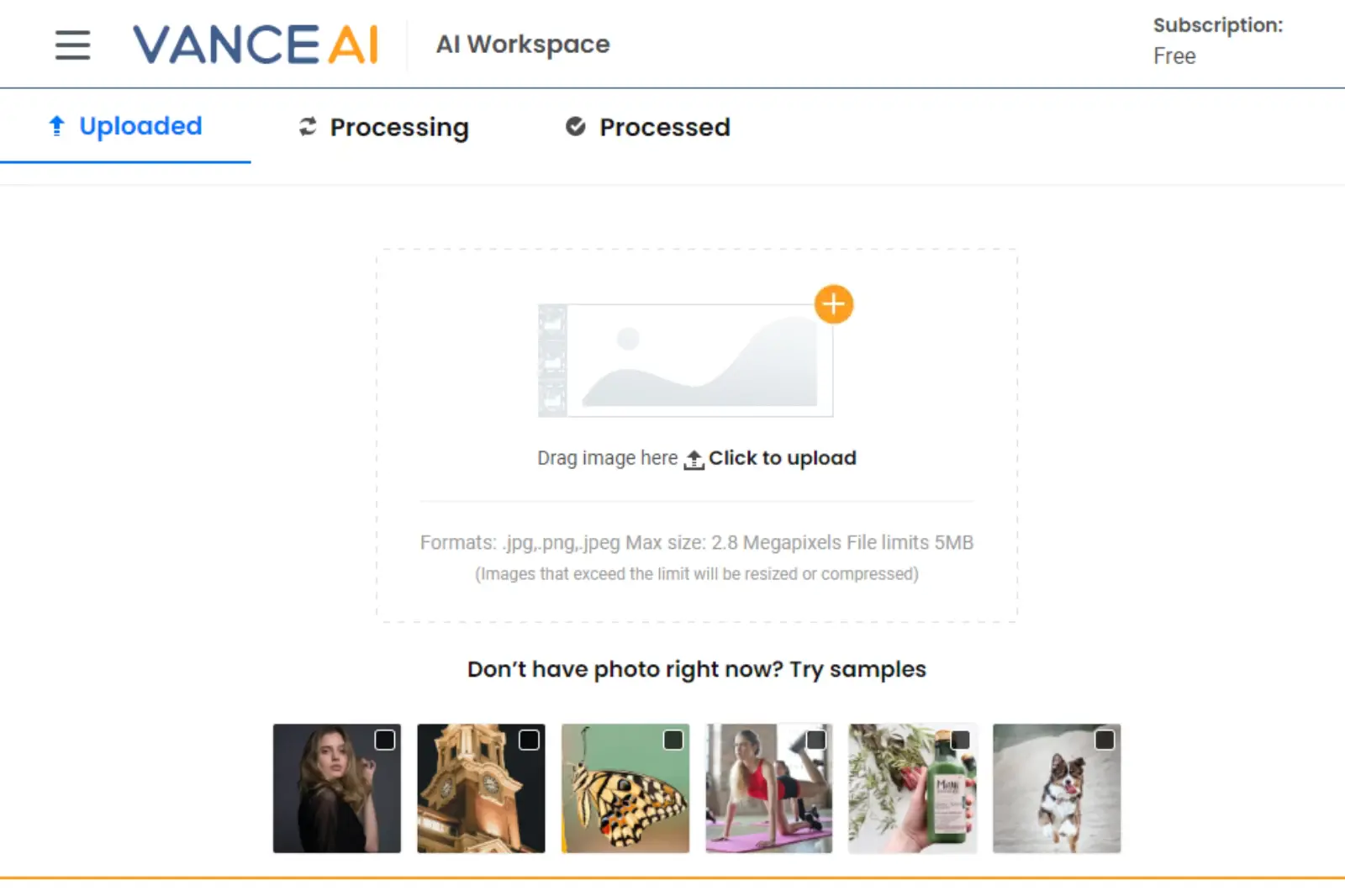 Home Page of Vance AI Image Enlarger
